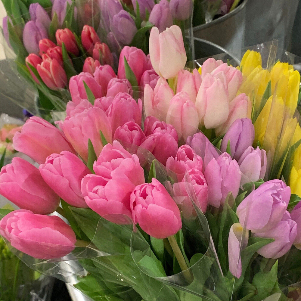 重名率很小的高级英文网名,有哪些重名率很小的网名