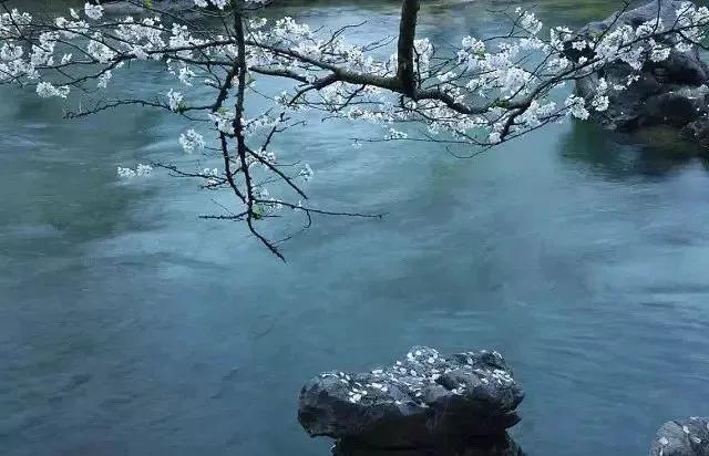 早春最好的十首诗,早春诗词十首