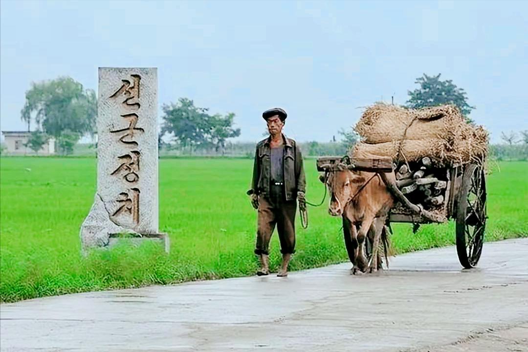 中国人去朝鲜会有什么样的待遇,中国人去到朝鲜朝鲜人会做什么