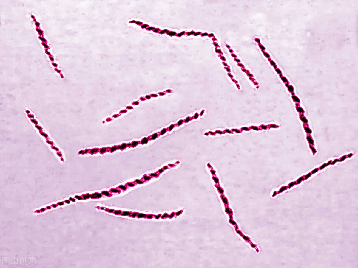 怎样才能知道自己是否已经感染上性病?