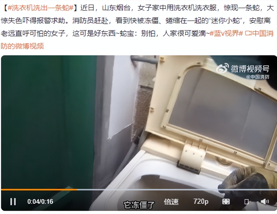 男子在床上被蛇吓视频,男子睡觉被蛇围脚