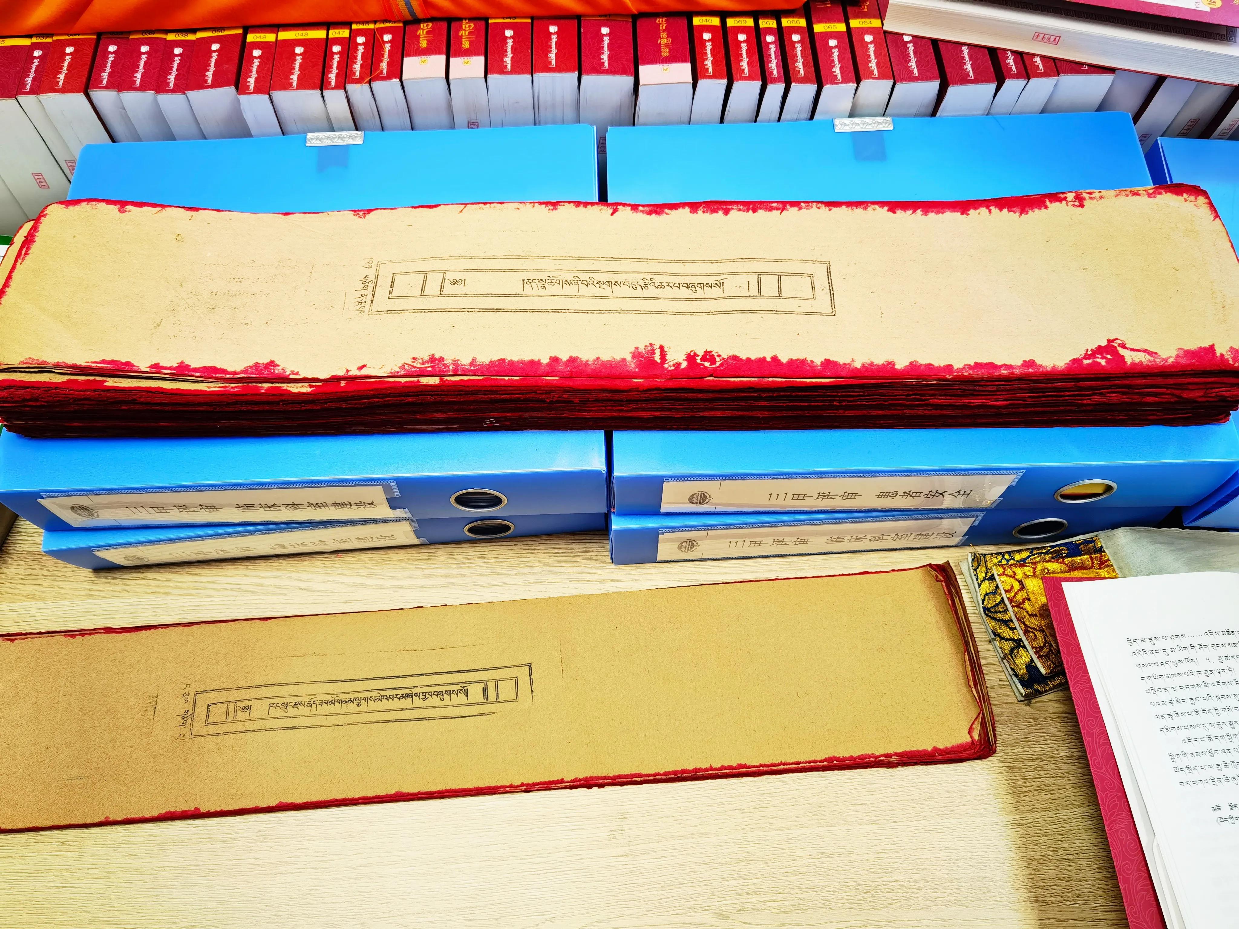 青海藏医药文化展示中心,青海藏医药文化博物馆