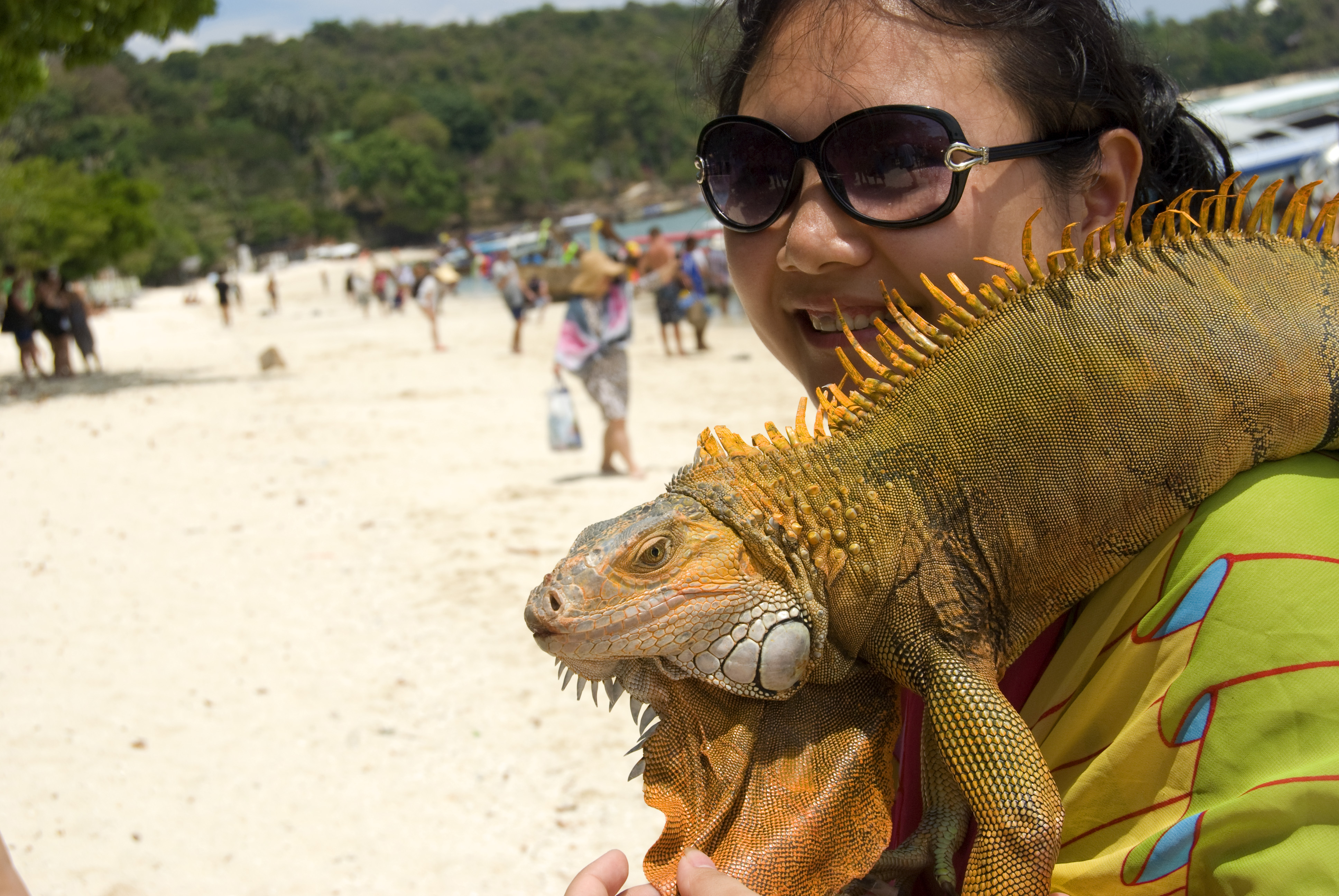泰国三亚旅游对比,三亚和泰国旅游选择哪里
