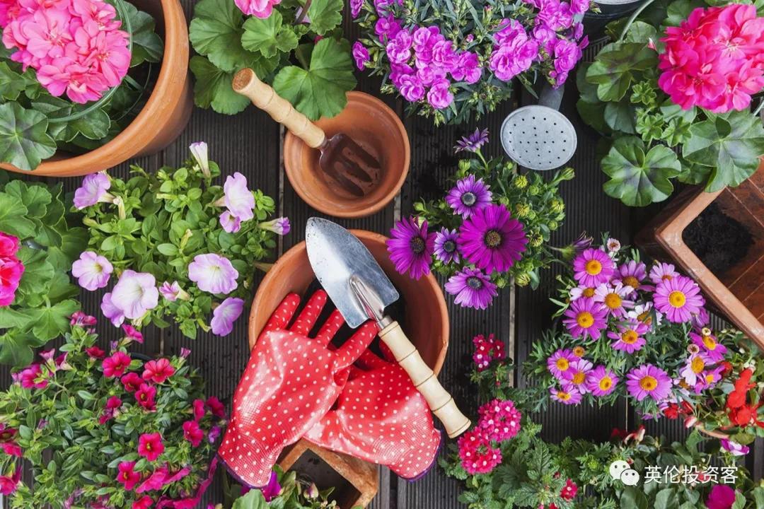 英国疫情下电商,疫情过后的英国电商