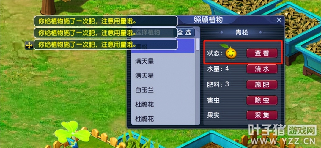 梦幻西游摇钱树老花农怎么做,梦幻西游老花农玩家攻略