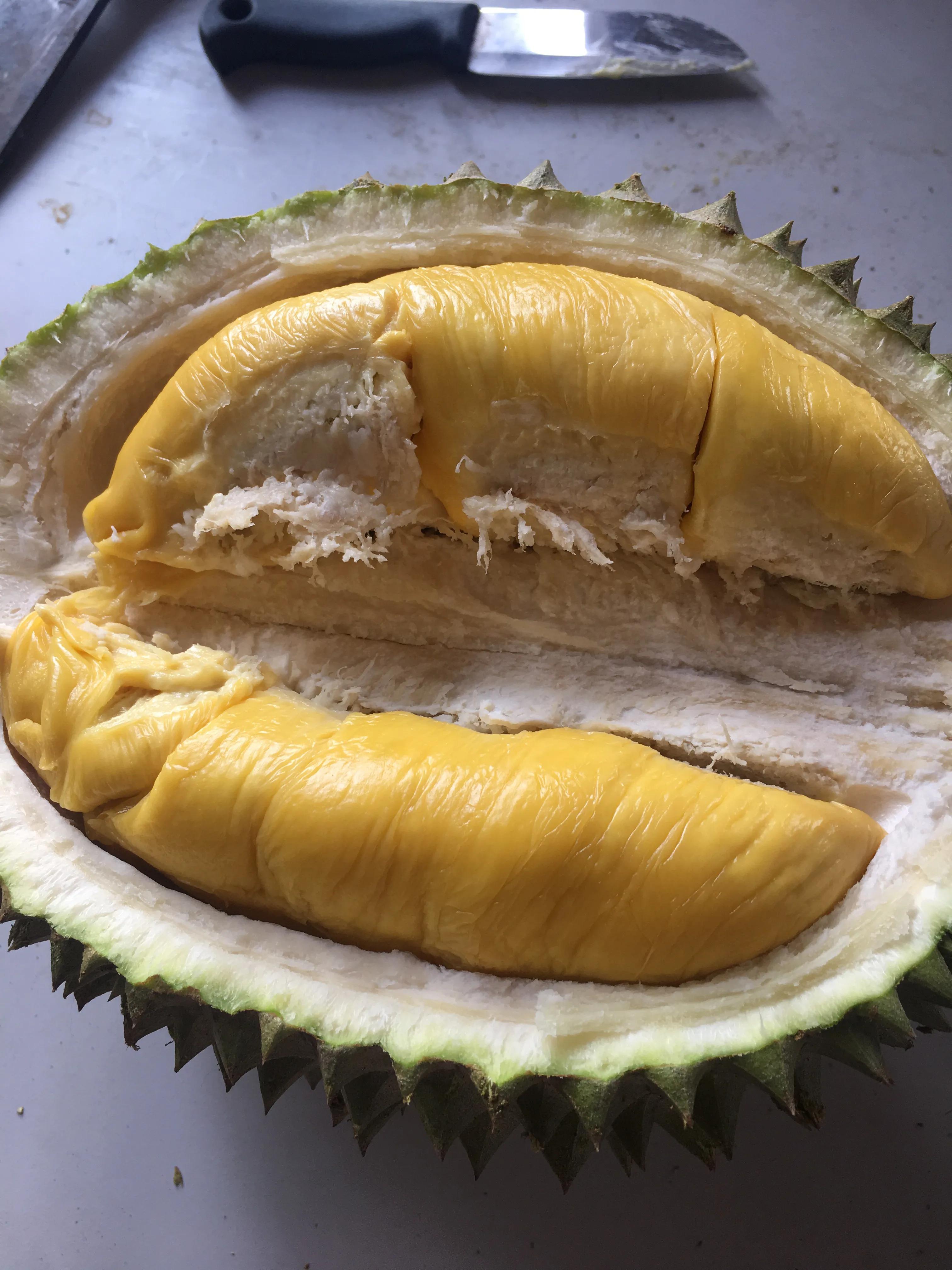 马来西亚的榴莲树多少钱一棵,马来西亚的榴莲产地在哪里