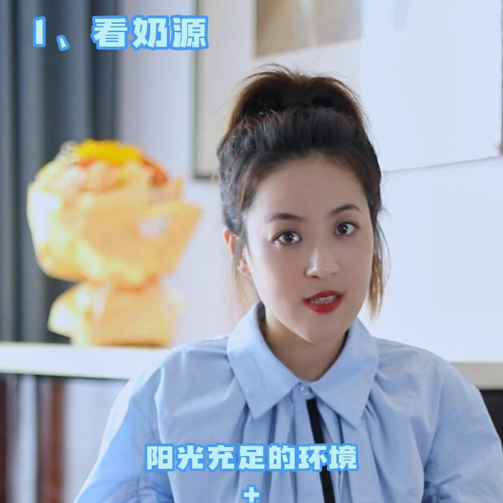 贝拉米奶粉的市场前景,贝拉米奶粉是怎样的产品