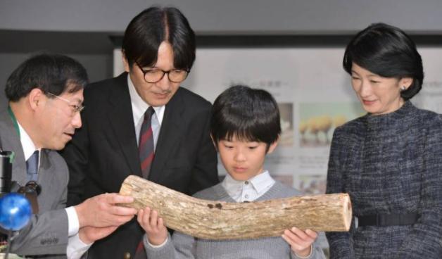 特朗普小儿子巴伦现状,特朗普巴伦现在多少岁了