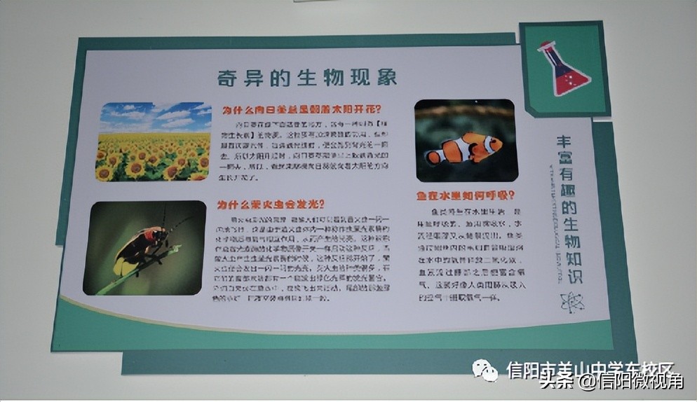 信阳文化渗透,信阳羊山中学传统文化