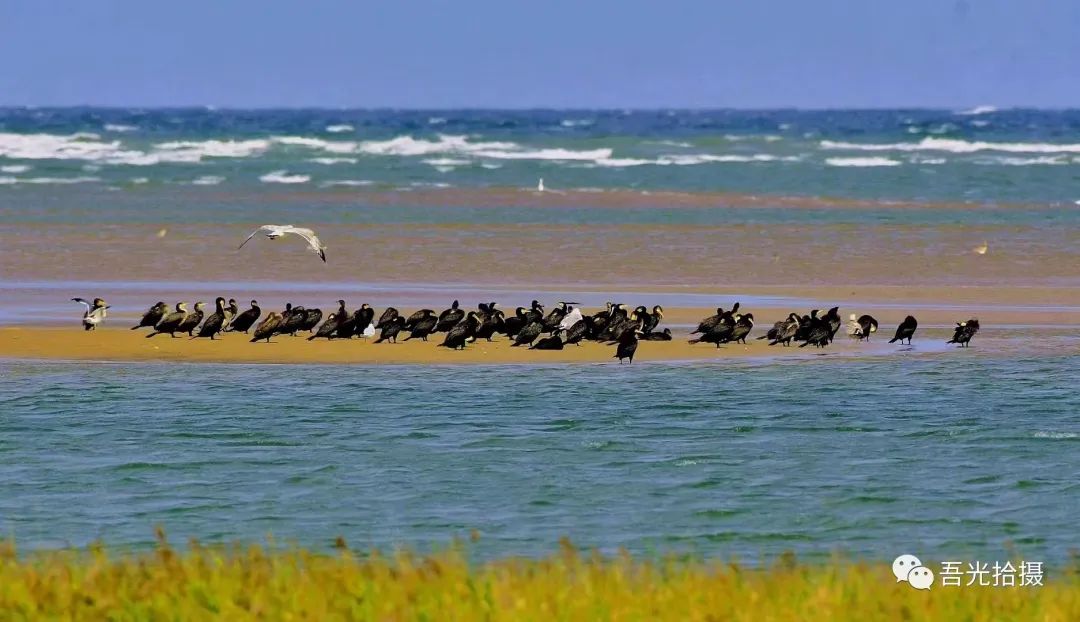 精彩绝伦作品图片,锦言精华作品