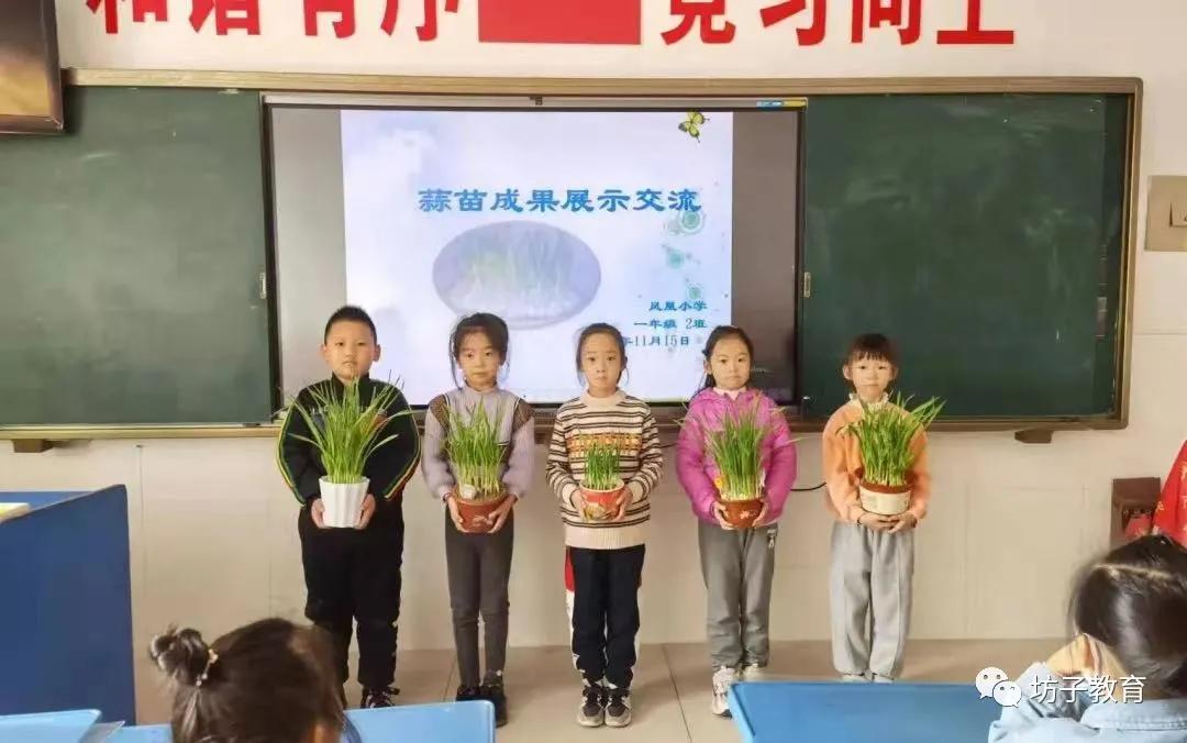 灏忓钀藉疄鍙屽噺鏍℃湰璇剧▼,钀藉疄鍙屽噺鎻愰珮灏忓鏁欏璐ㄩ噺