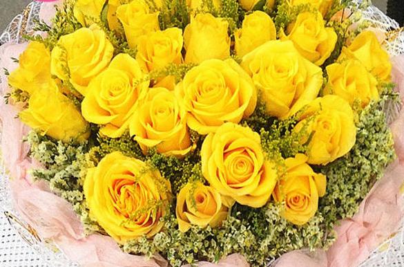 黄色玫瑰花代表什么象征意义,黄玫瑰代表什么意义和象征