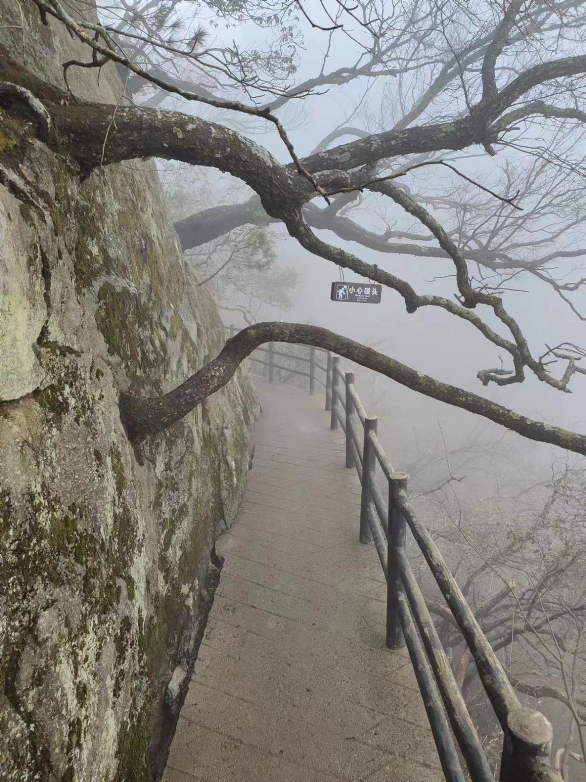 尧山大佛一日游攻略,尧山大佛高多少米