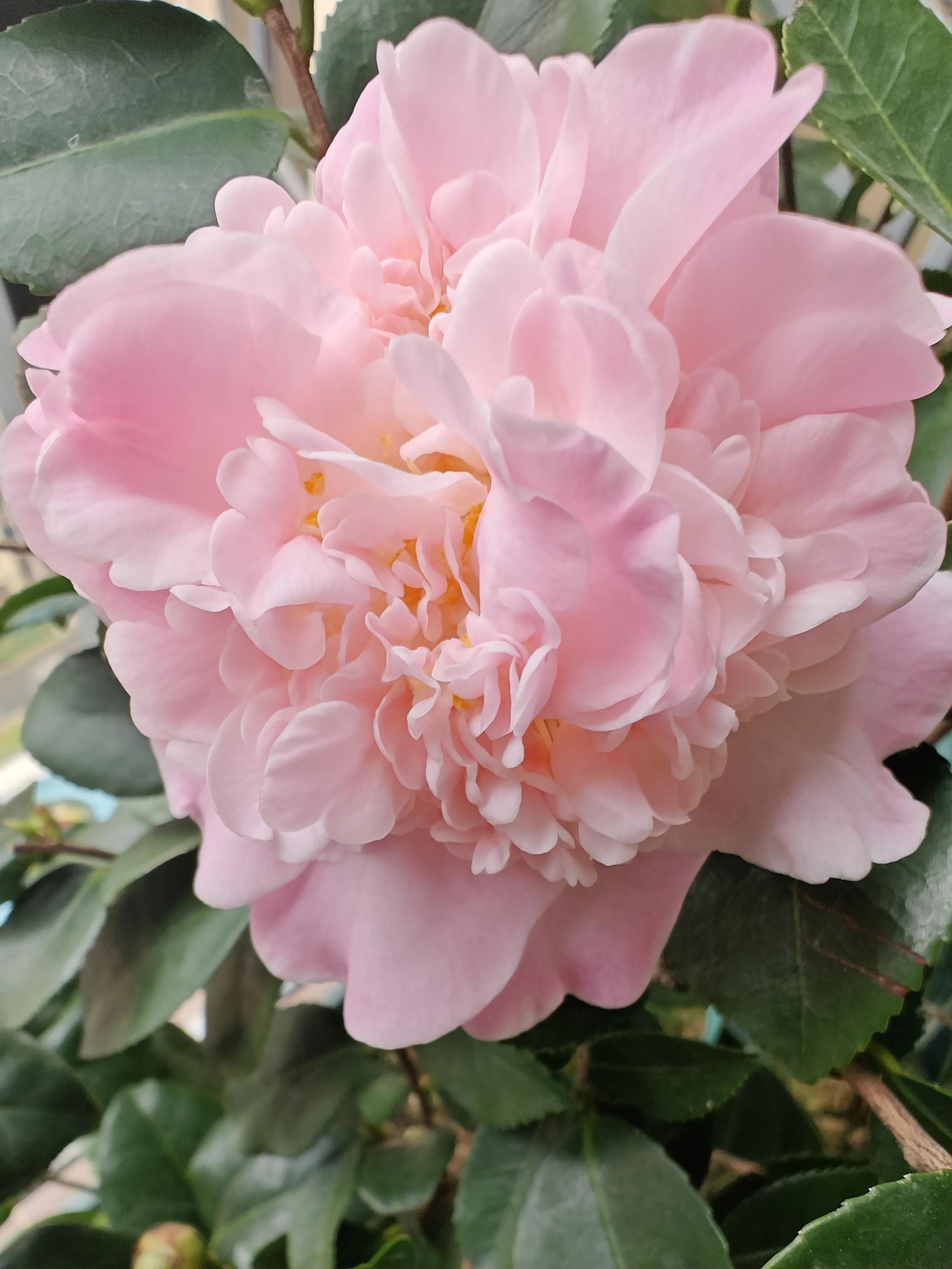 记事本日记图片,记事本日记本