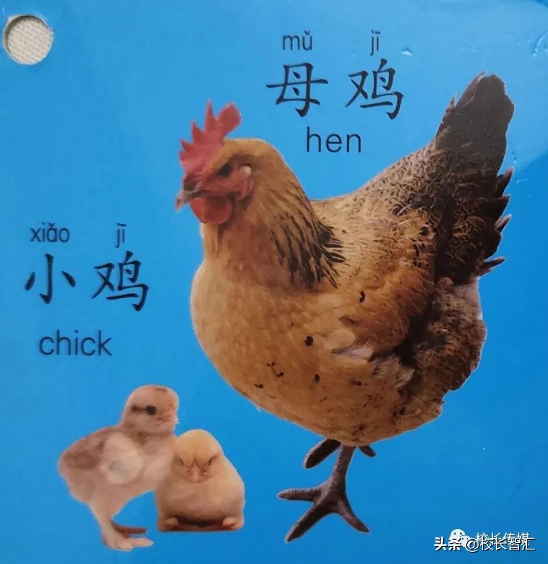 李瑞教课靠谱吗,李瑞训练方法视频