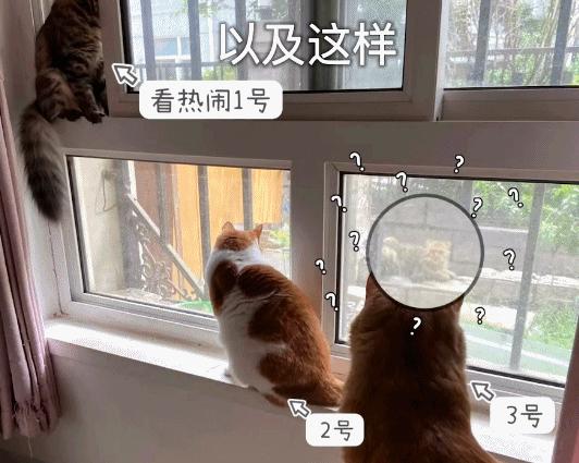 租房找一楼是不是不太好,租房到最高层的弊端