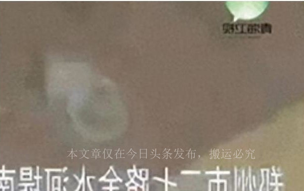 “就地办事，套套乱扔”，小树林成*战野**地…