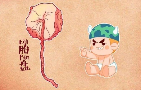 老一辈常说坐月子吃胎盘营养会更好，到底是怎么回事呢？