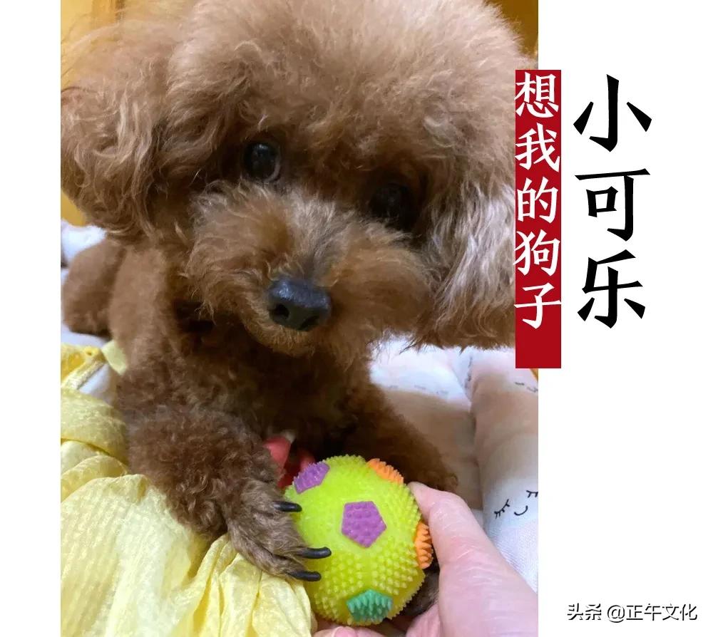 2022·连线除夕：彼此问候，好运平安