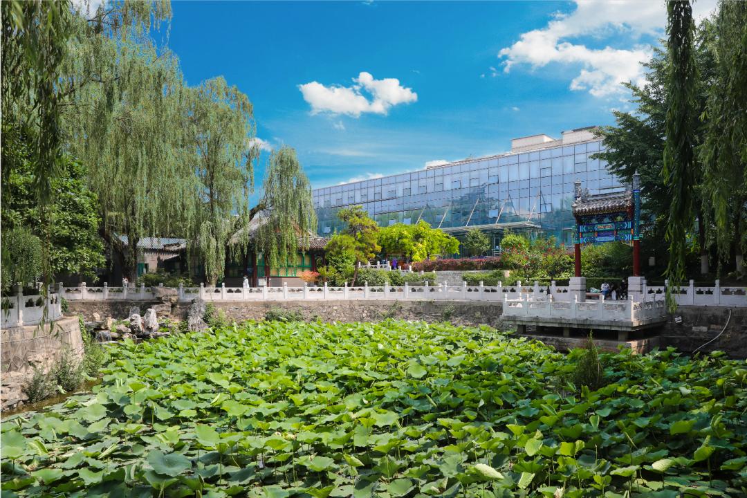 北京积水潭骨坏死门诊在哪,北京积水潭医院骨科医联体