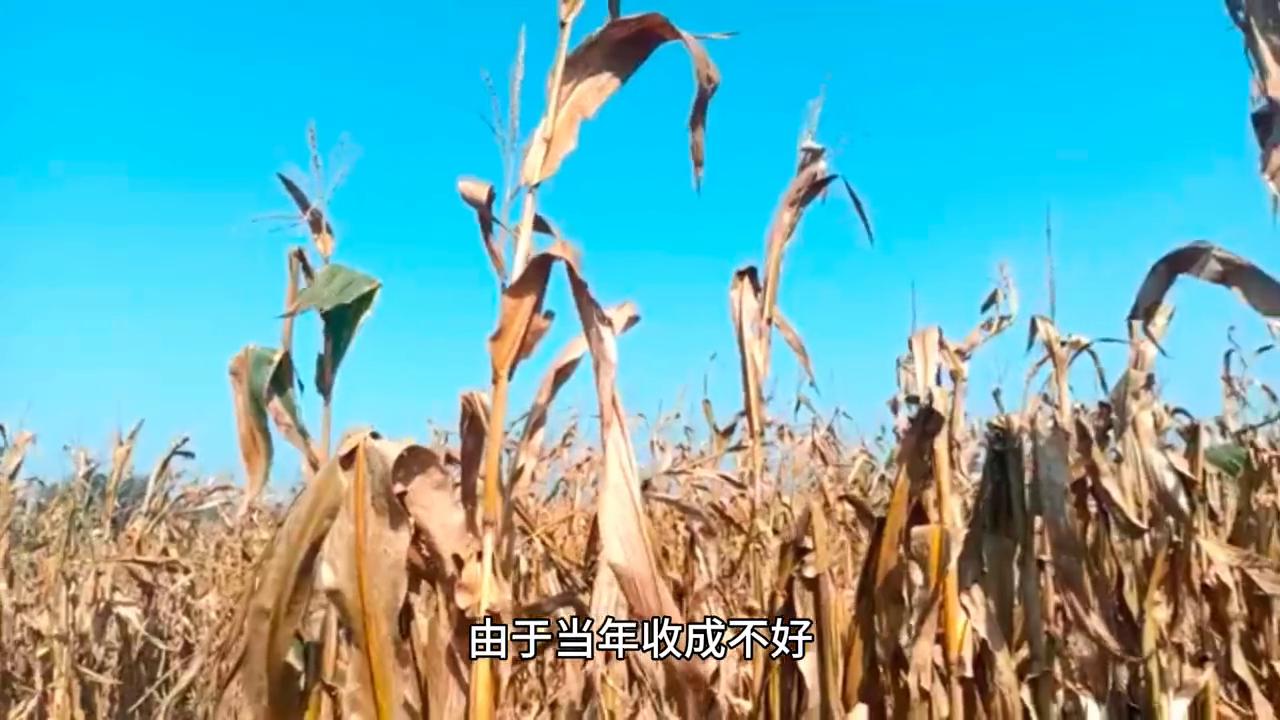 民间故事借钱不还的报应,借钱民间故事