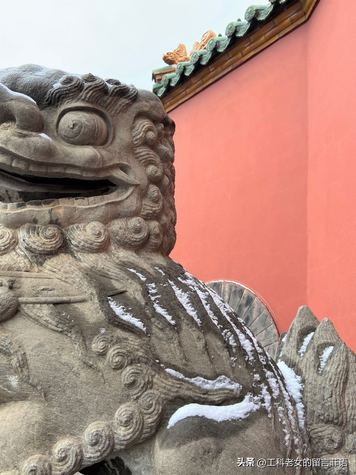 沈阳故宫今天的雪景,沈阳故宫冬天能看到雪吗