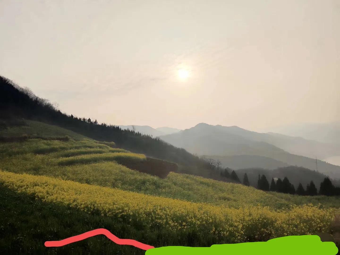 怎么治好选择困难症,严重选择困难症怎么破