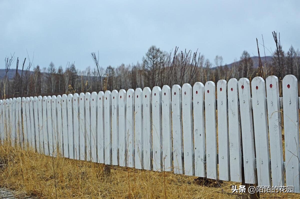 庭院围栏款式大全,庭院围栏有哪些种类