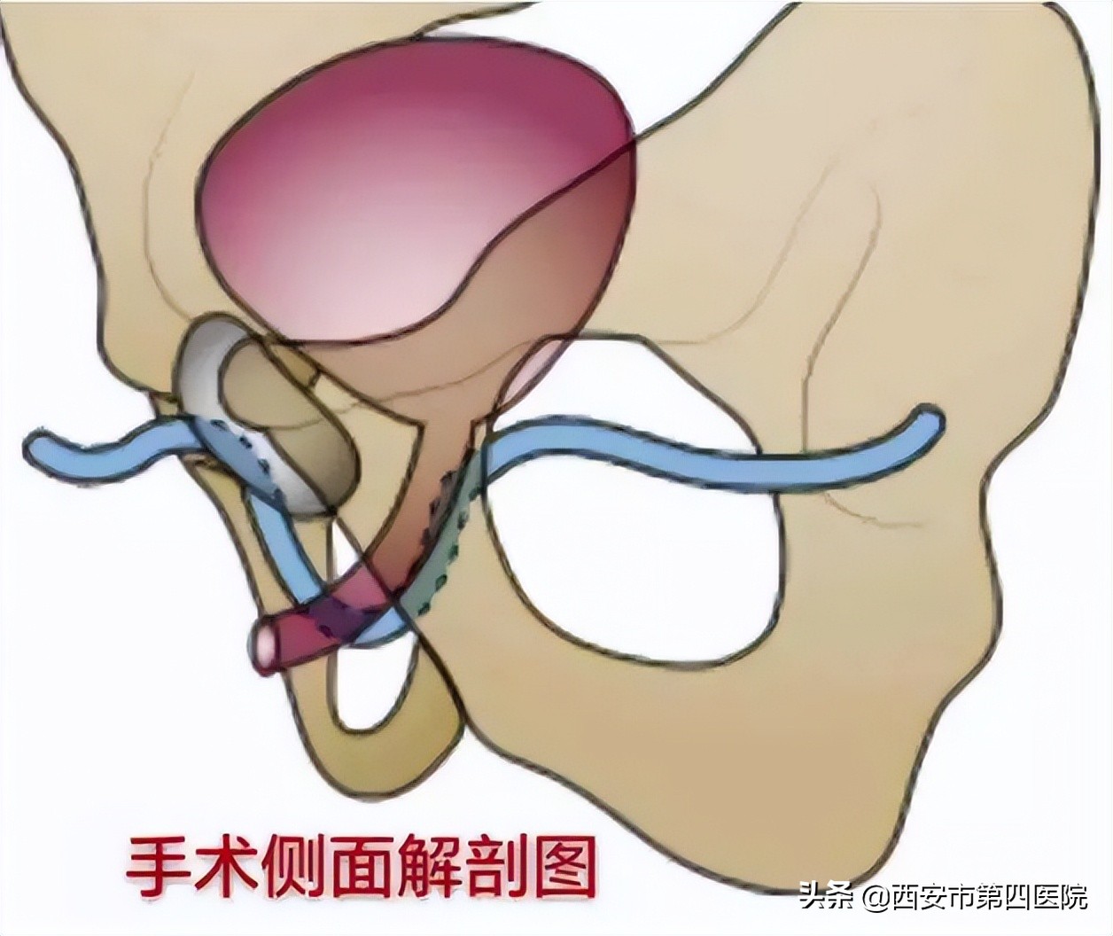 健康中国行动详解,健康中国2030真的吗