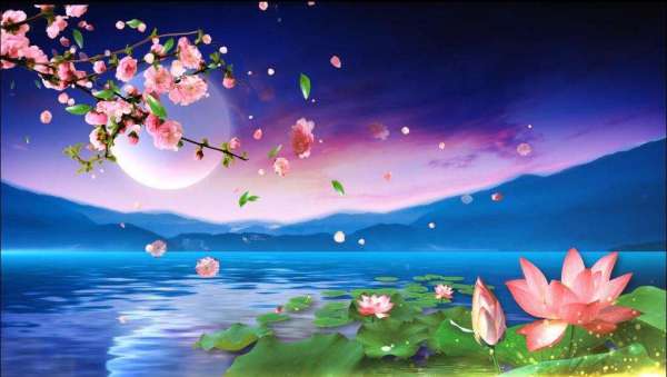 75首古诗中描写月亮的诗句有哪些,李白写的与月亮有关的诗有多少首