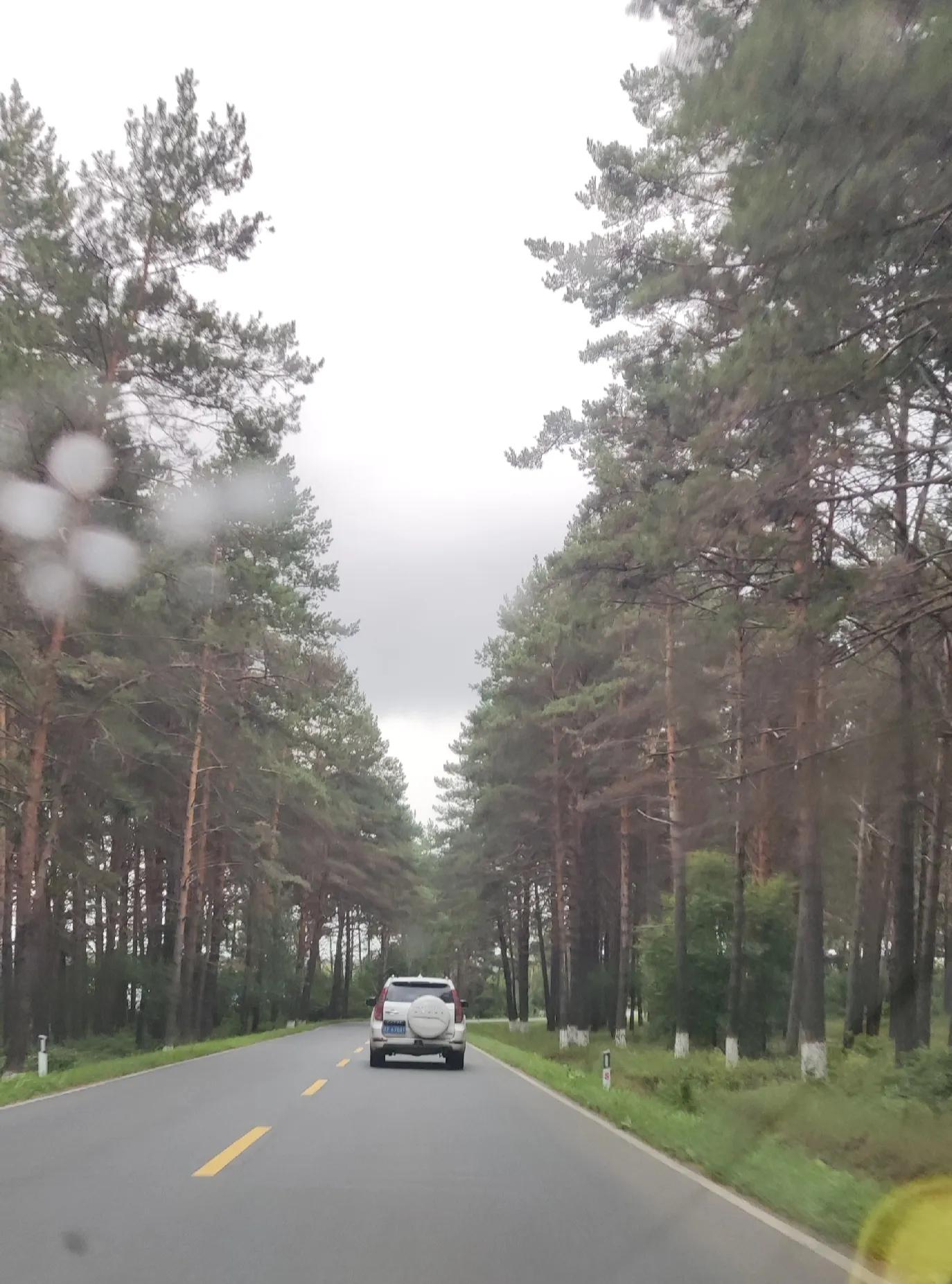 北京到内蒙东北边境自驾游攻略第十四天,黑河到伊春