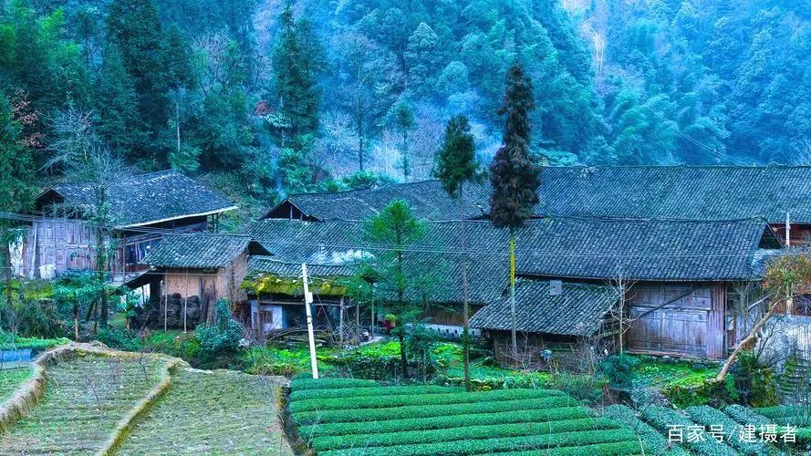 那个月拿3000的小编辑，做一堆公众号和抖音，现在身价几千万！