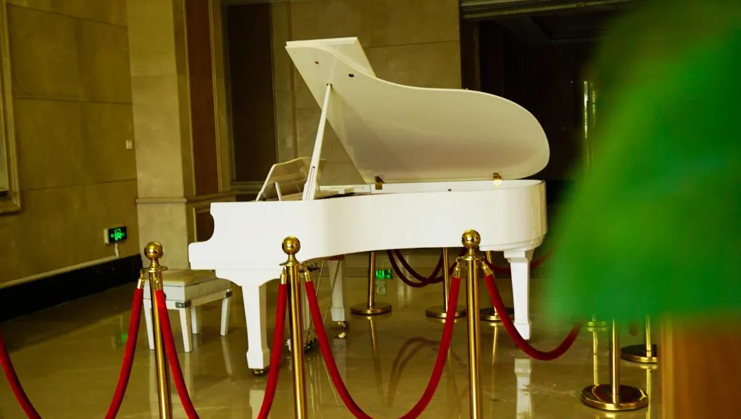 生茂丨走进西航，带你看四川最美校园