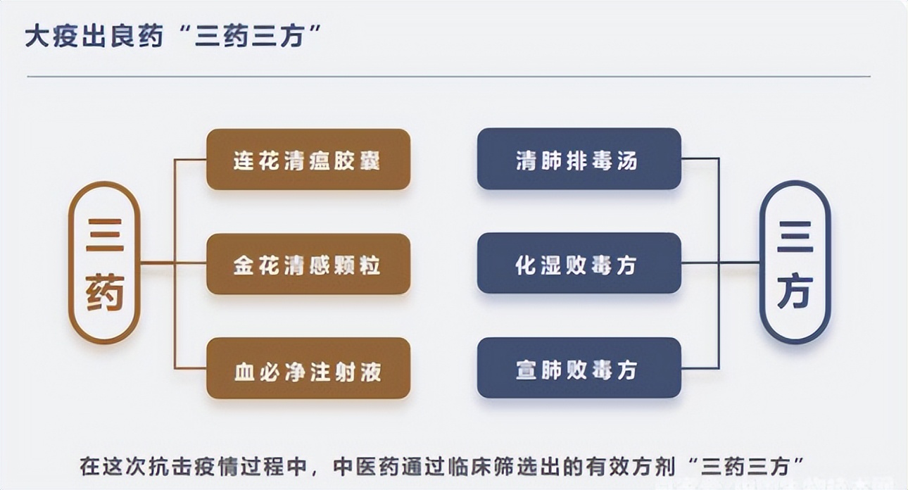 他揭露“被收买的国内败类黑中医药”，又逆行上海抗疫