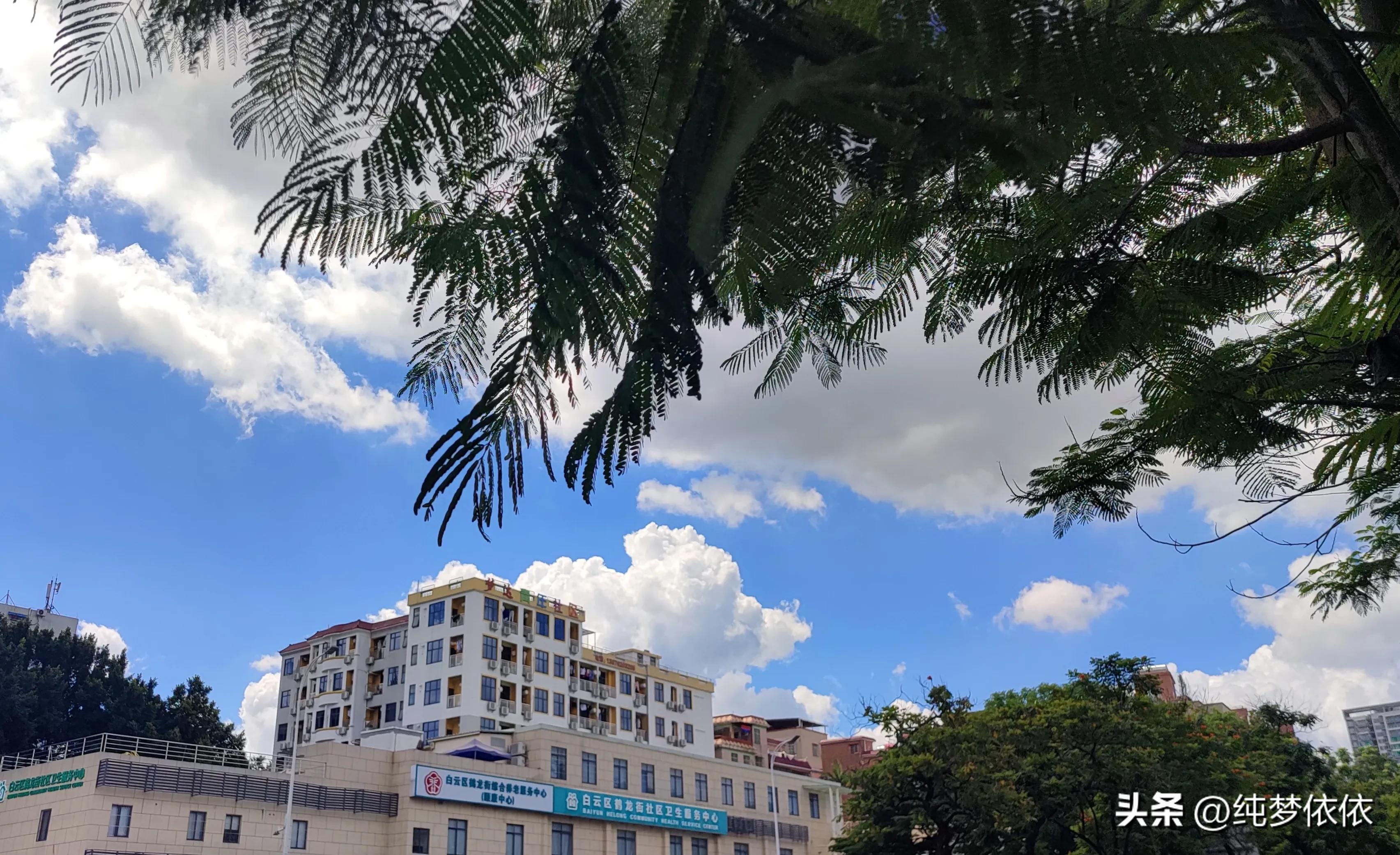 夏天随手一拍就是最好的画面,这张照片勾起了夏天的美好时光