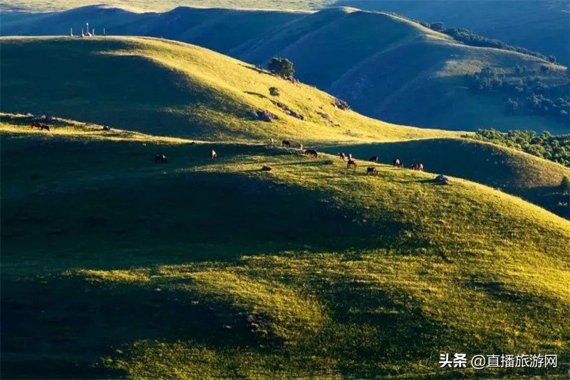 诗与远方内蒙古,诗与远方途乐