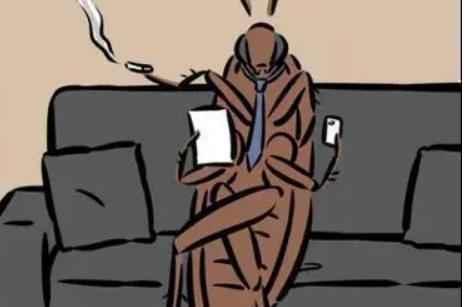 灭蟑螂哪种药最容易消灭,灭蟑螂最好的方法用什么药