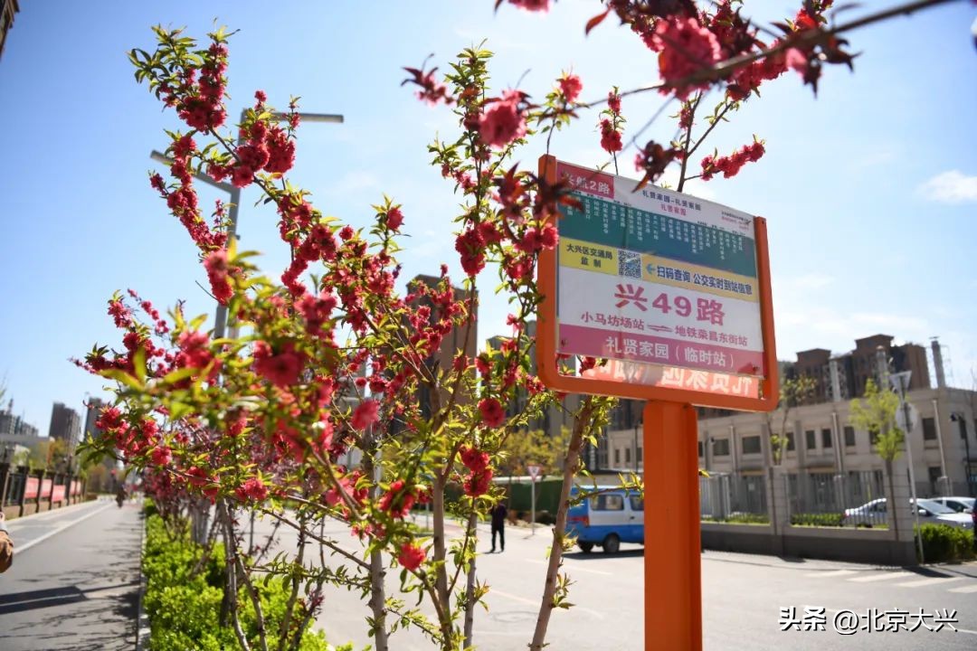 高颜值的大兴,拼的是实力!