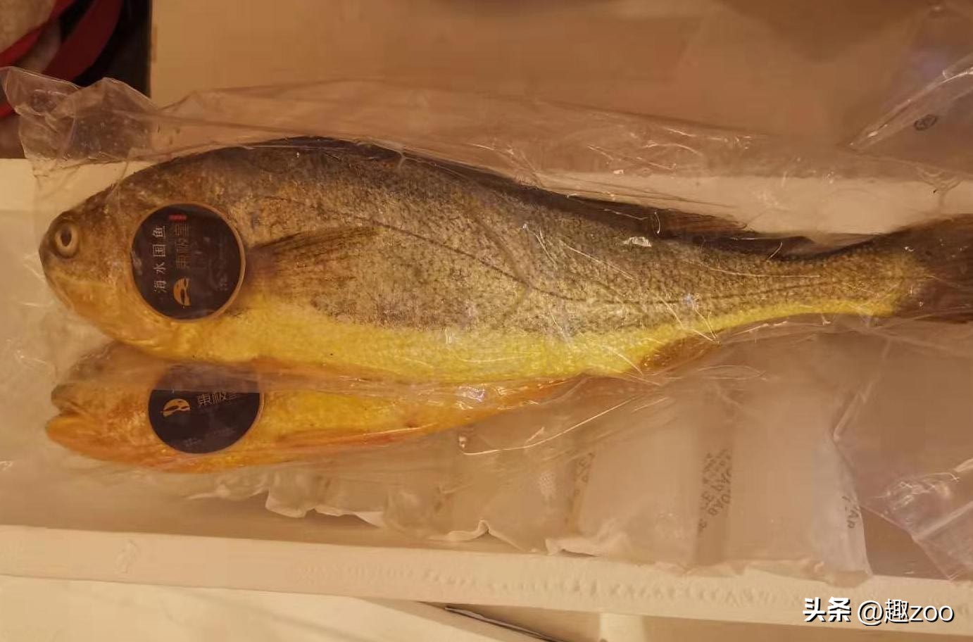 中国海鲜十大排行榜,中国海鲜产品品牌前十名