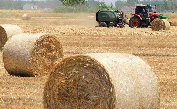 回收行业十大最赚钱项目,冷门回收行业100例