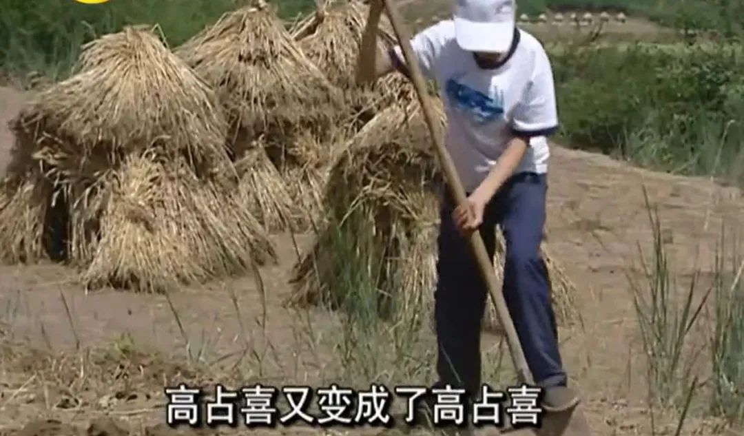 变形计中逆天改命的孩子,变形计17岁少年成富一代