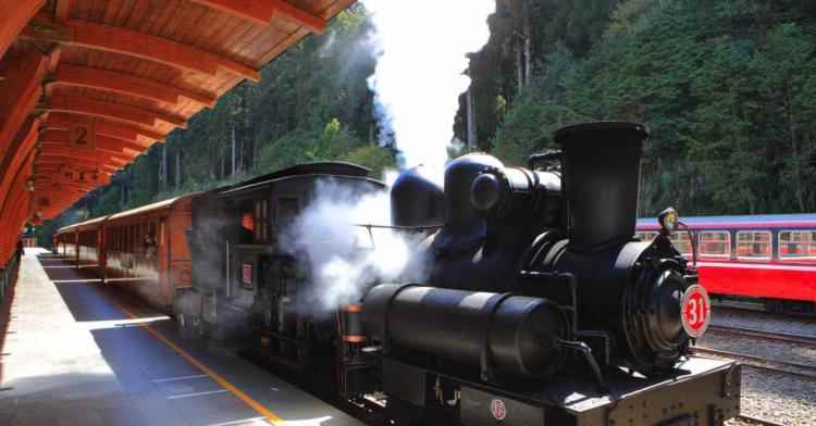 世界上第一个蒸汽火车叫什么名字,人们第一个发明的火车是什么火车