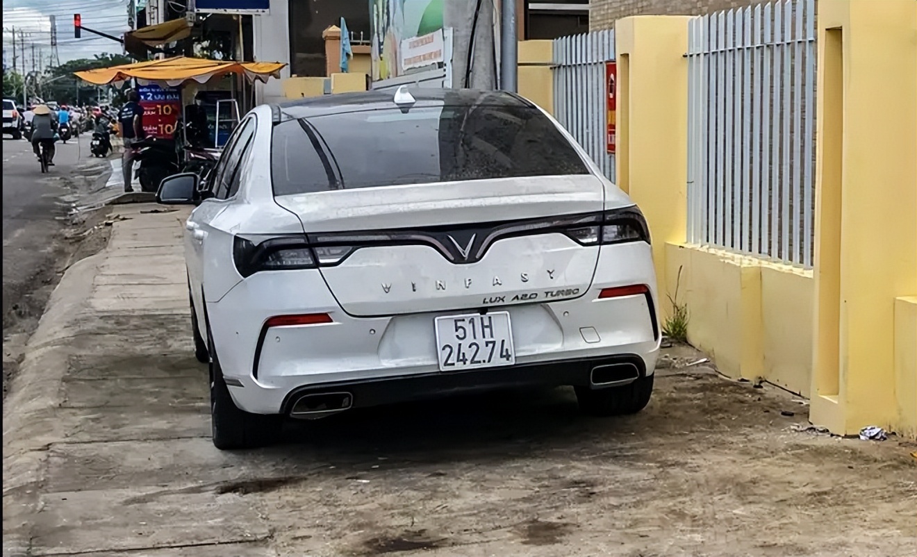 越南女子骗30位高富帅,越南女子连续骗了30多位富家子弟