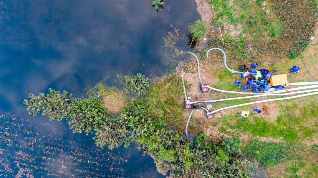 迎接党的20大美术作品,喜迎二十大乡村摄影展