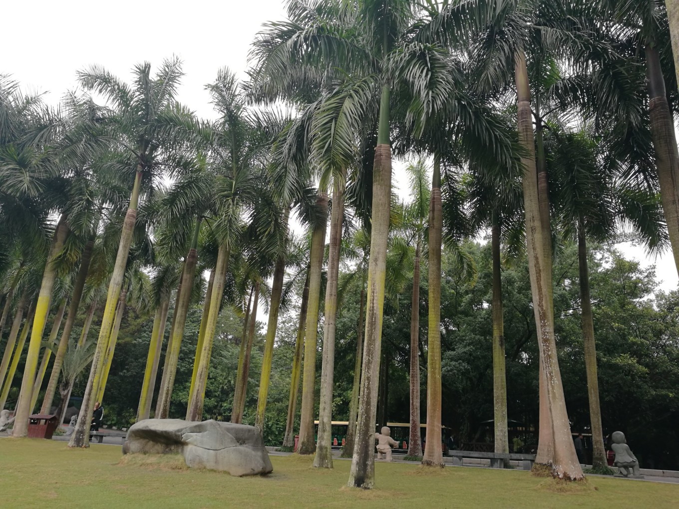 南宁北海涠洲岛六日游攻略,南宁涠洲岛德天瀑布五日游攻略