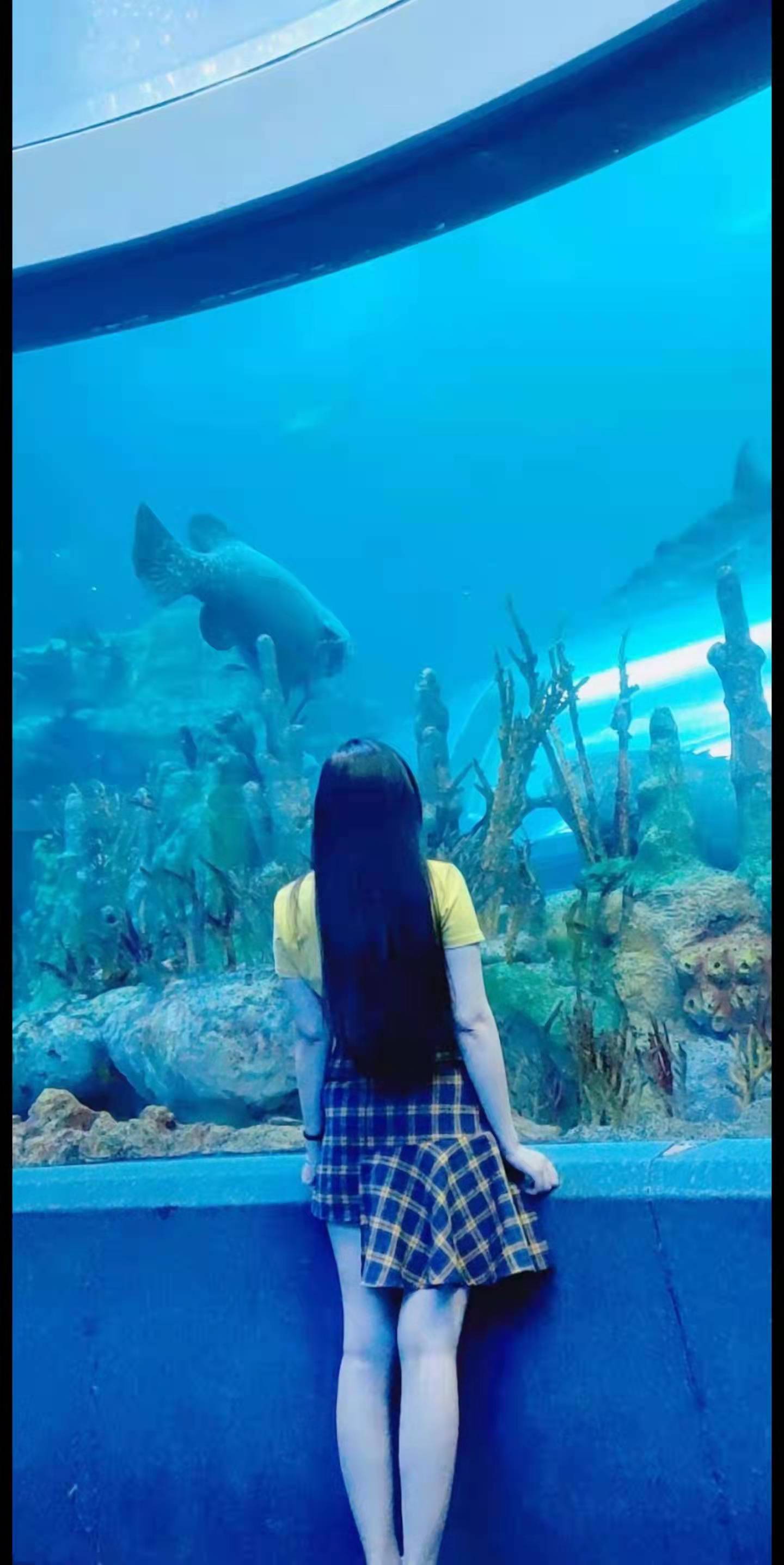 时光洪流不可逆,时间的洪流不可逆