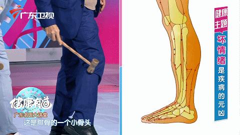 养脾胃养肝操,一茶一粥养胃方法