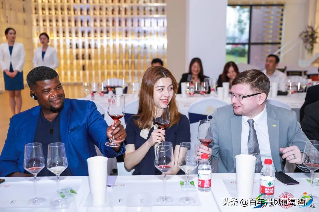 2024第五届丹凤西部红酒节,2024丹凤红酒节