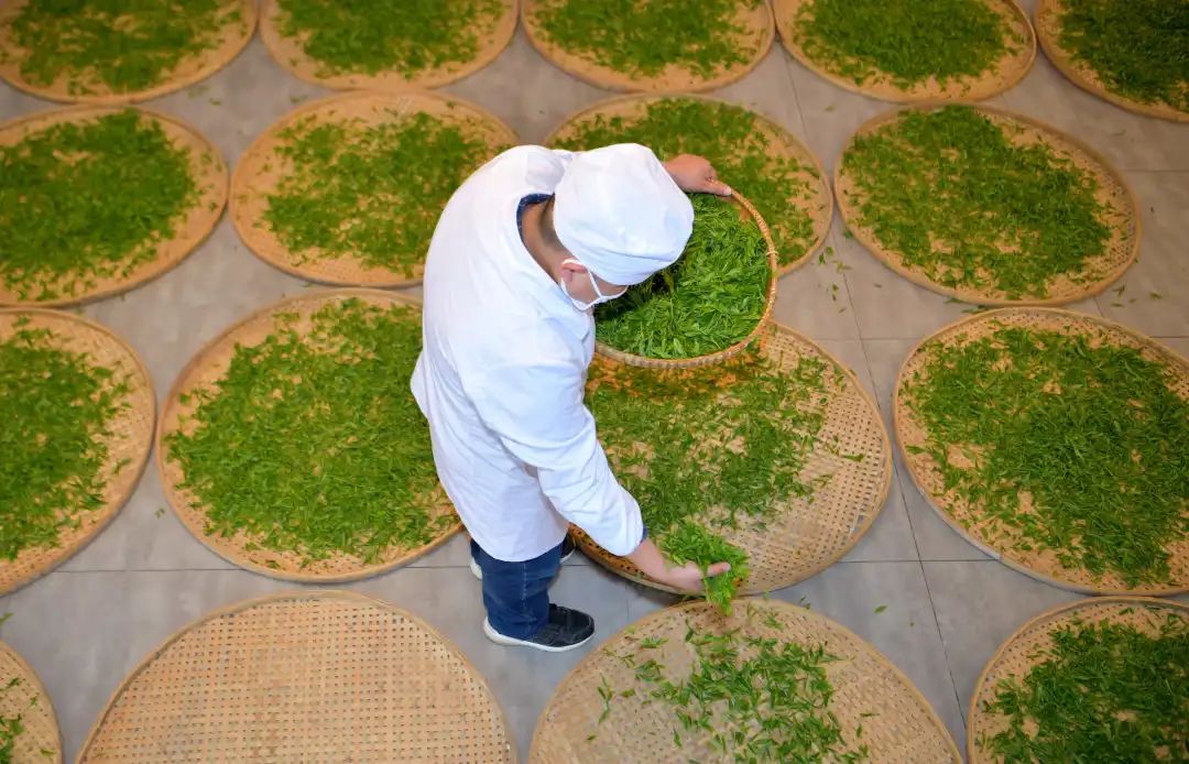 中国湖北茶叶十大排名,湖北茶叶七大品牌