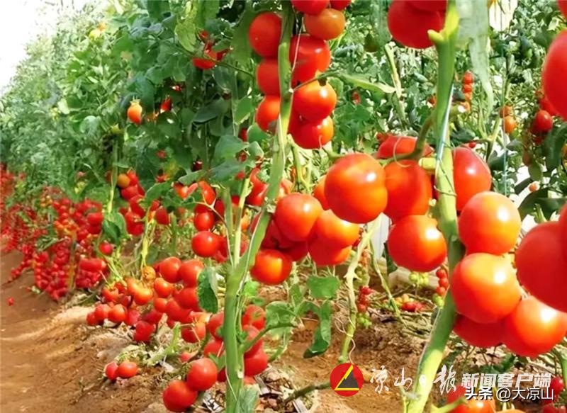 西昌市2021年地区生产总值,西昌实现一季度经济开门红